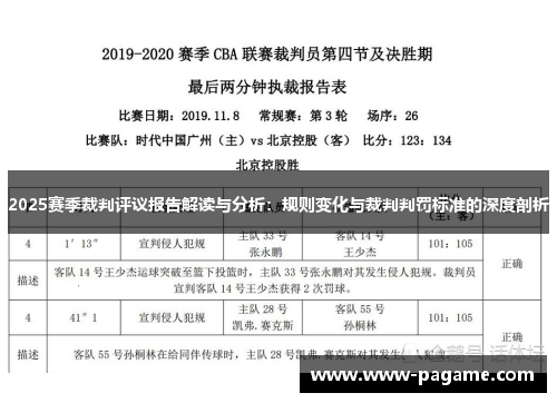 2025赛季裁判评议报告解读与分析：规则变化与裁判判罚标准的深度剖析