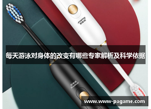 每天游泳对身体的改变有哪些专家解析及科学依据