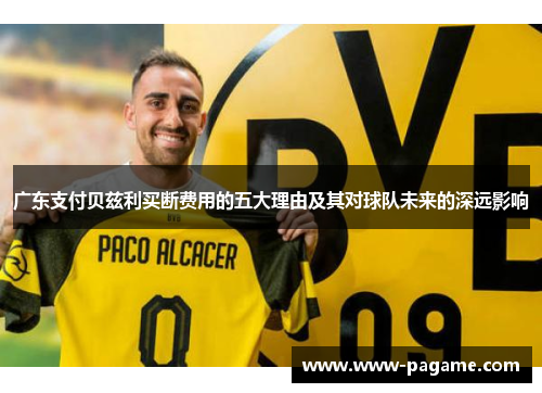 广东支付贝兹利买断费用的五大理由及其对球队未来的深远影响