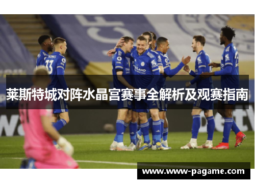 莱斯特城对阵水晶宫赛事全解析及观赛指南