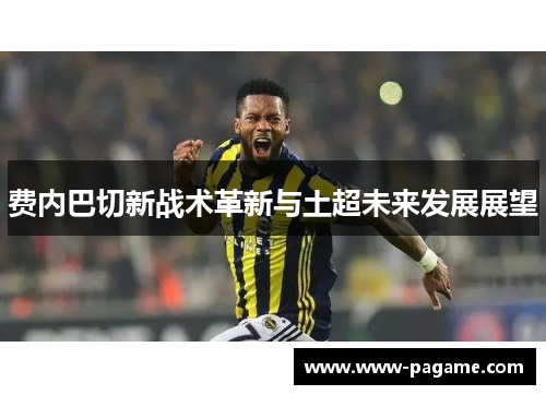 费内巴切新战术革新与土超未来发展展望