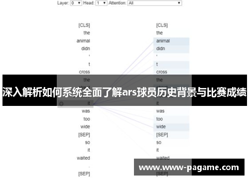 深入解析如何系统全面了解ars球员历史背景与比赛成绩