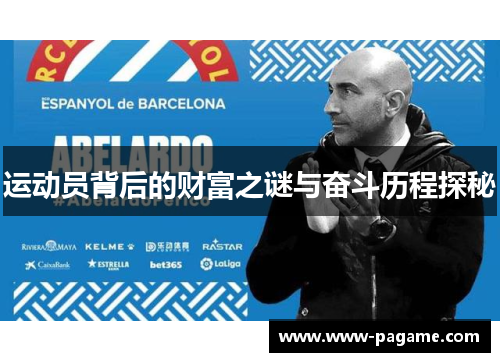 运动员背后的财富之谜与奋斗历程探秘