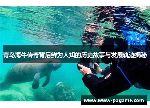 青岛海牛传奇背后鲜为人知的历史故事与发展轨迹揭秘