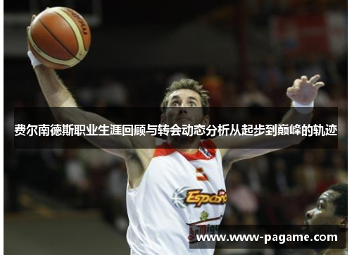 费尔南德斯职业生涯回顾与转会动态分析从起步到巅峰的轨迹